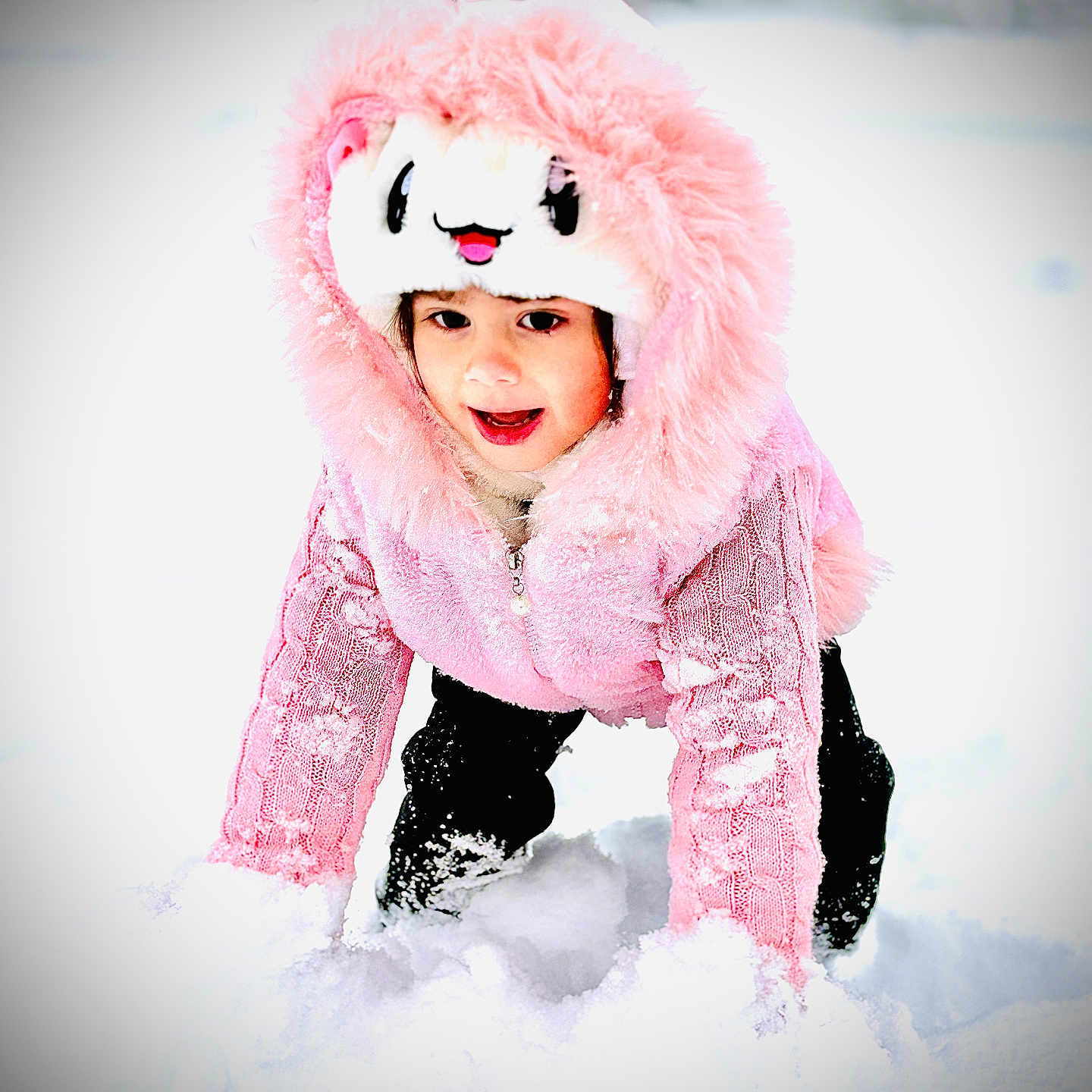 Roseary is registered to the contest to win money with this photo: animal_hood, child, cold_weather, crawling, cute, face, frosty, fun, happy, hood, nature, outdoor, pink_jacket, play, smiling, snow, snow_play, winter, winter_clothing, young_child