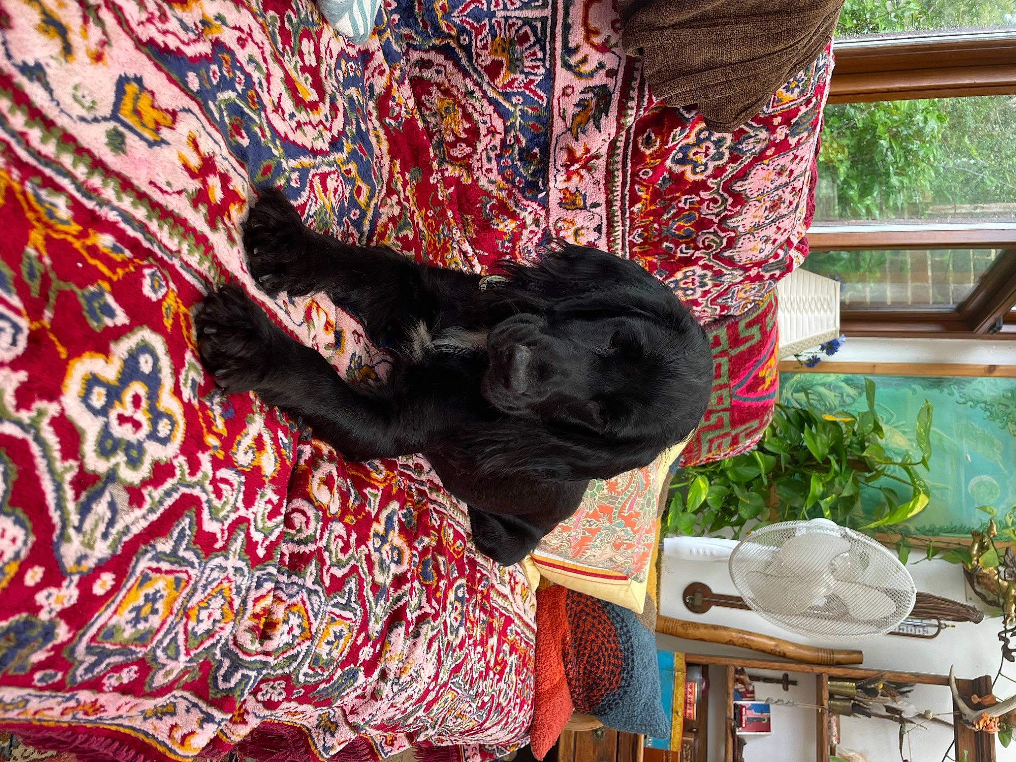 Erin is registered to the contest to win money with this photo: art, carmine, carpet, linens, magenta, motif, pattern, plant, red, rug, sculpture, temple, textile, tradition, tree, visual_arts, window, wood, working_animal, woven_fabric