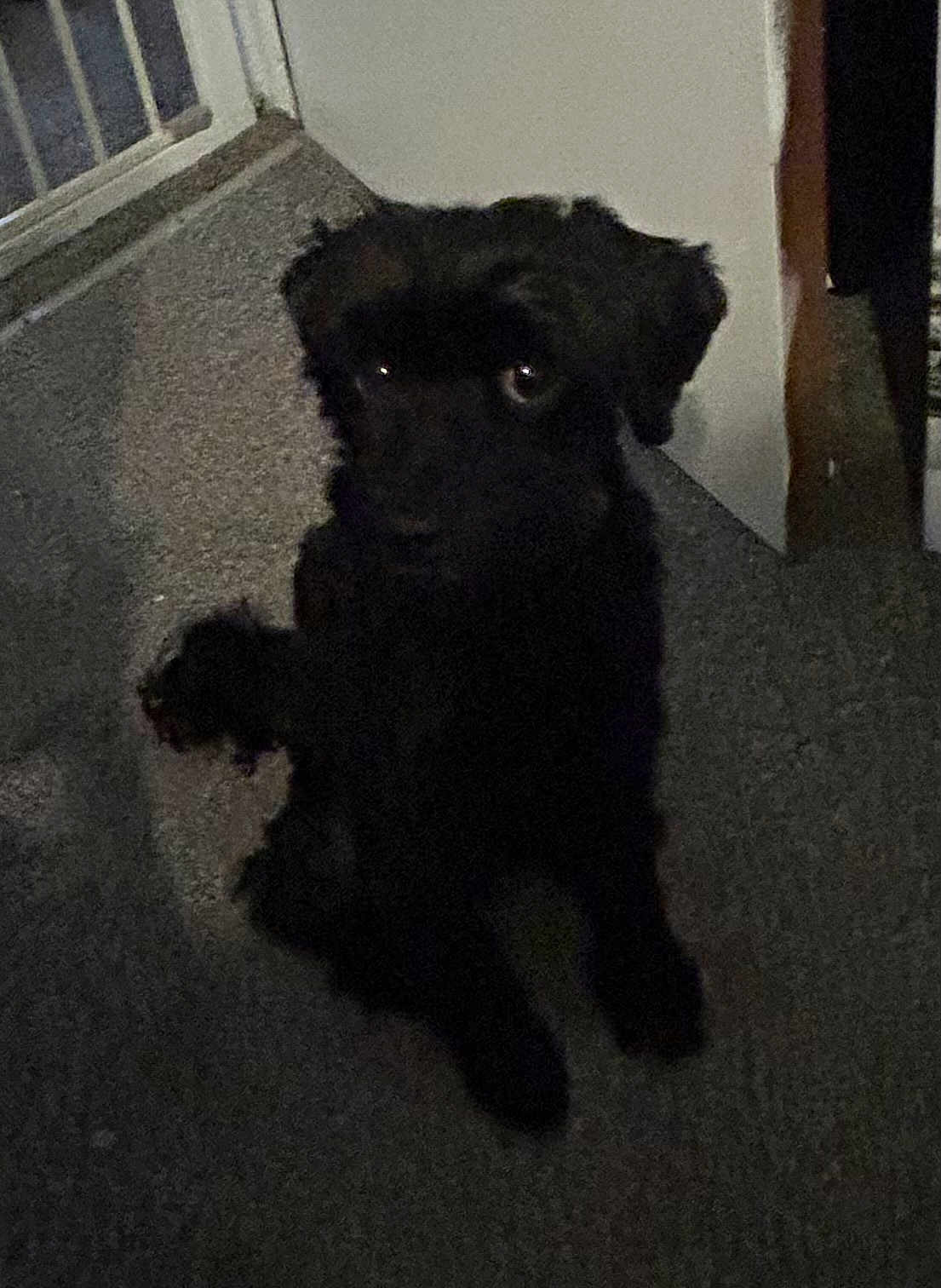 Rico