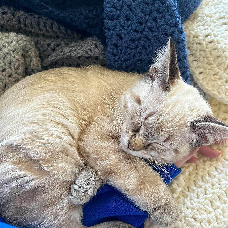 Milo