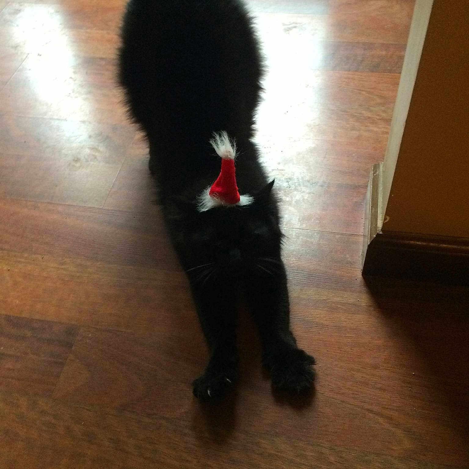 Berlioz
