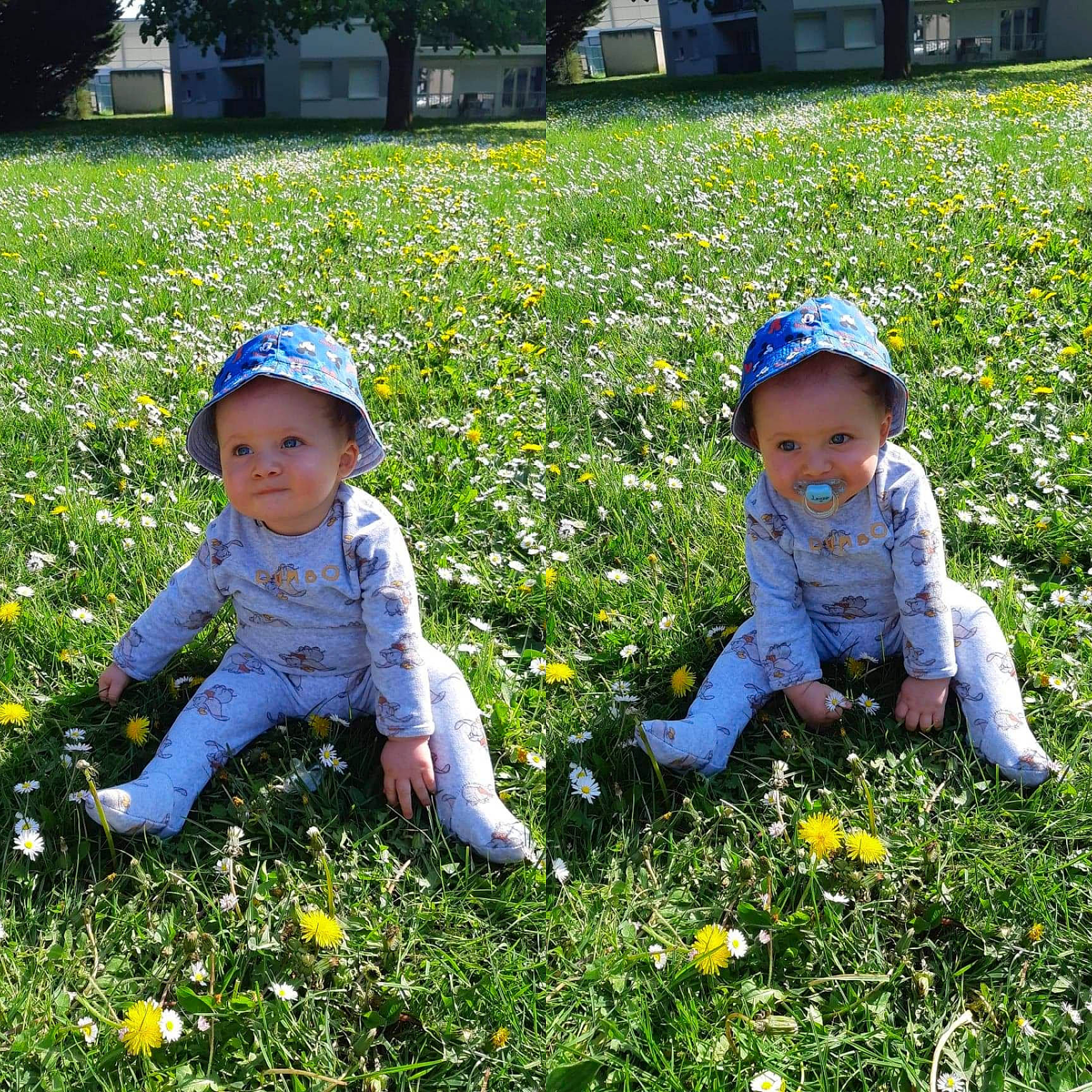 Lenzo participe au concours pour gagner de l'argent avec cette photo : baby, baby_toddler_clothing, blue, botany, flower, fun, grass, grassland, green, happy, headwear, leaf, natural_environment, people_in_nature, person, photograph, plant, sneakers, sunlight, toddler