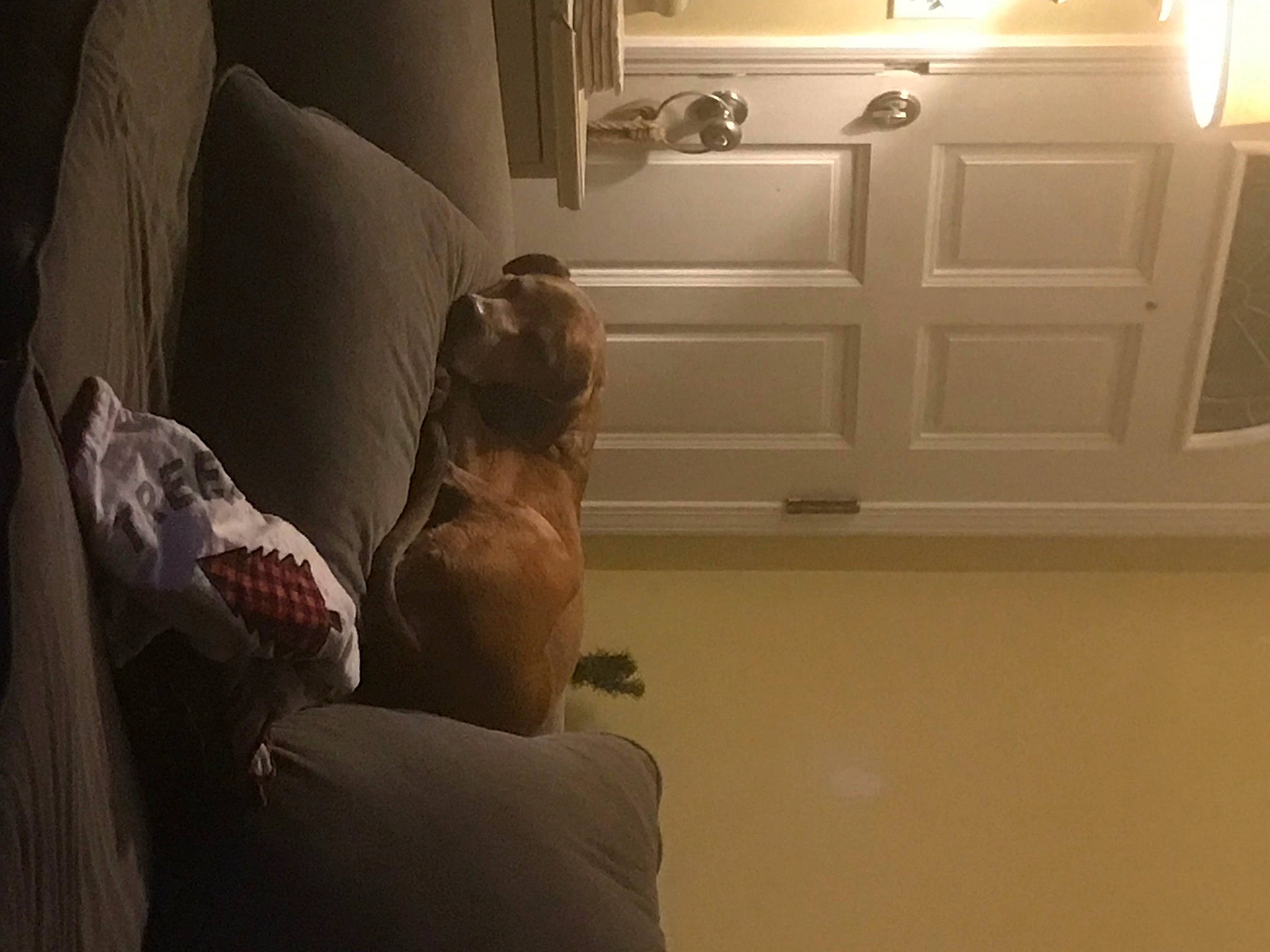 Charleigh is registered to the contest to win money with this photo: bed, bedroom, comfort, elbow, floor, flooring, hardwood, human_leg, interior_design, knee, linens, pillow, room, shoulder, t_shirt, textile, thigh, trunk, wall, wood