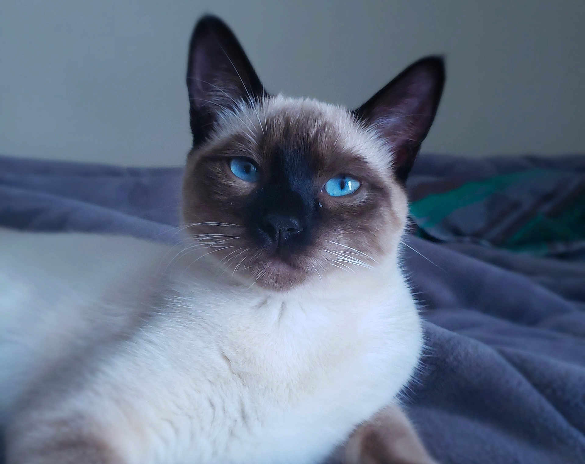 Sam