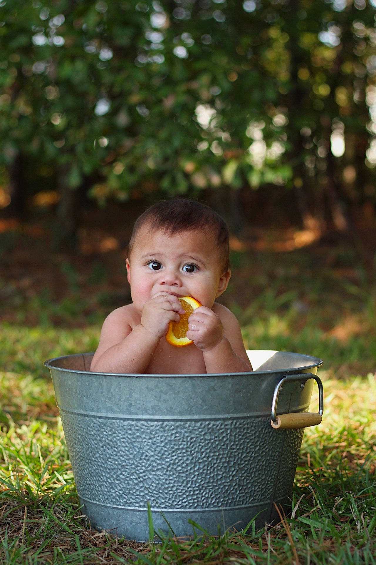 Tarek joined the competition — help win amazing prizes! child, fun, girl, grass, infant, lawn, person, photograph, photography, plant, recreation, sitting, toddler, tree, vacation