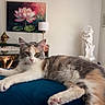 cat, calico_cat, relaxed, indoor, blanket, furniture, painting, lamp, sculpture, window, curtains, table, decor, pet, animal, cozy, home, portrait, resting, fur