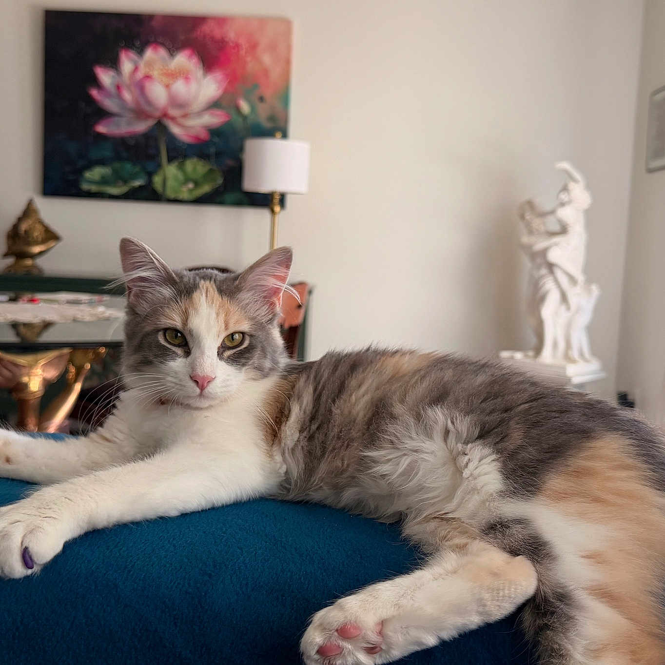 Lucy joined the competition — help win amazing prizes! cat, calico_cat, relaxed, indoor, blanket, furniture, painting, lamp, sculpture, window, curtains, table, decor, pet, animal, cozy, home, portrait, resting, fur