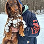 Windsor Horne is registered to the contest to win money with this photo: dog, long_hair, snow, snowballs, person, hoodie, outdoor, winter, forest, trees, cold, animal, pet, brown_dog, hand, clothing, nature, canine, fur, holding