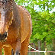 Luciole De Nah participe au concours pour gagner de l'argent avec cette photo :