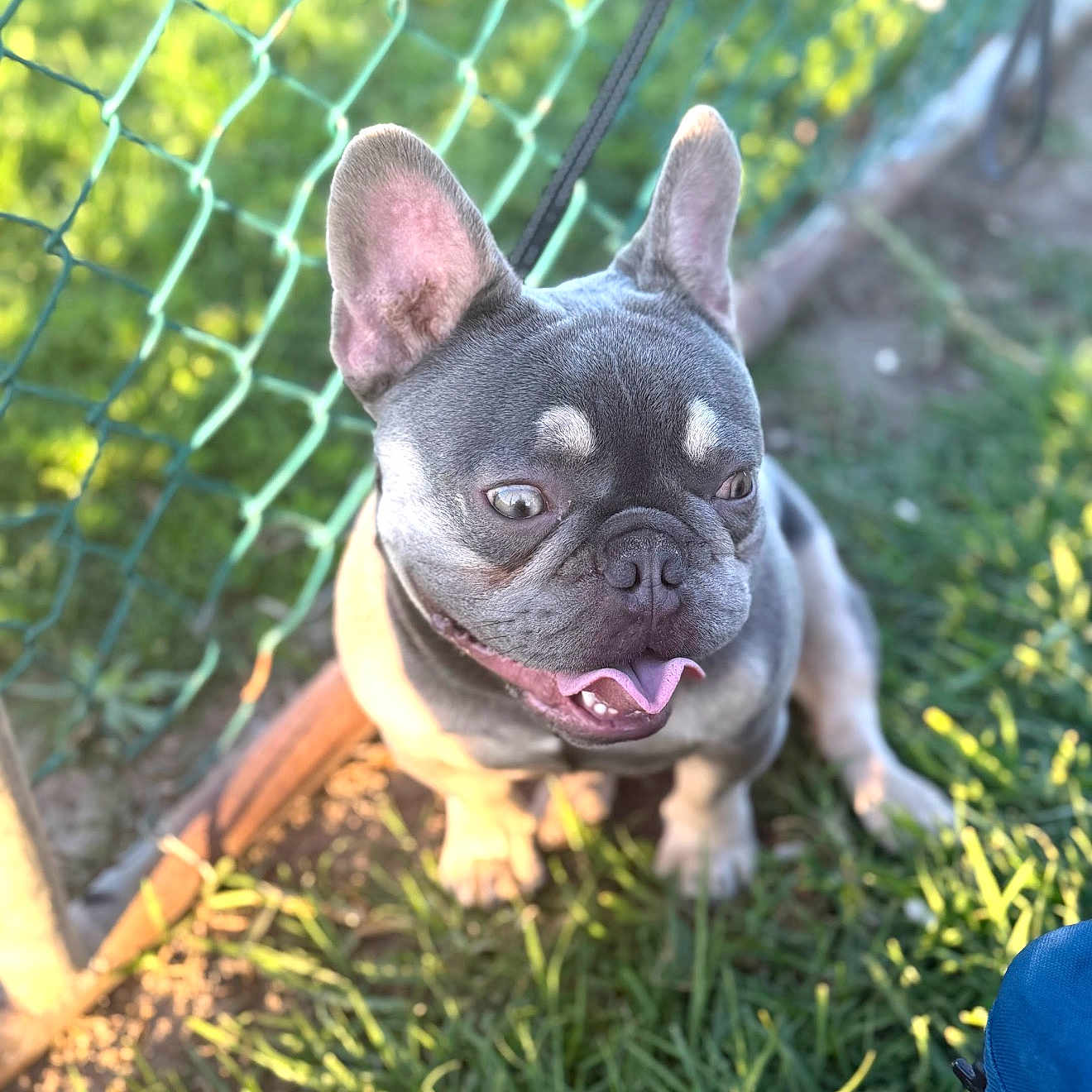 Smalls