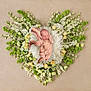 baby, cream_flowers, cushion, delicate, floral_arrangement, flowers, gentle, greenery, hands, heart_shape, infant, nature, newborn, pastel_colors, peaceful, portrait, sleeping, soft_texture, still_life, tender_moment