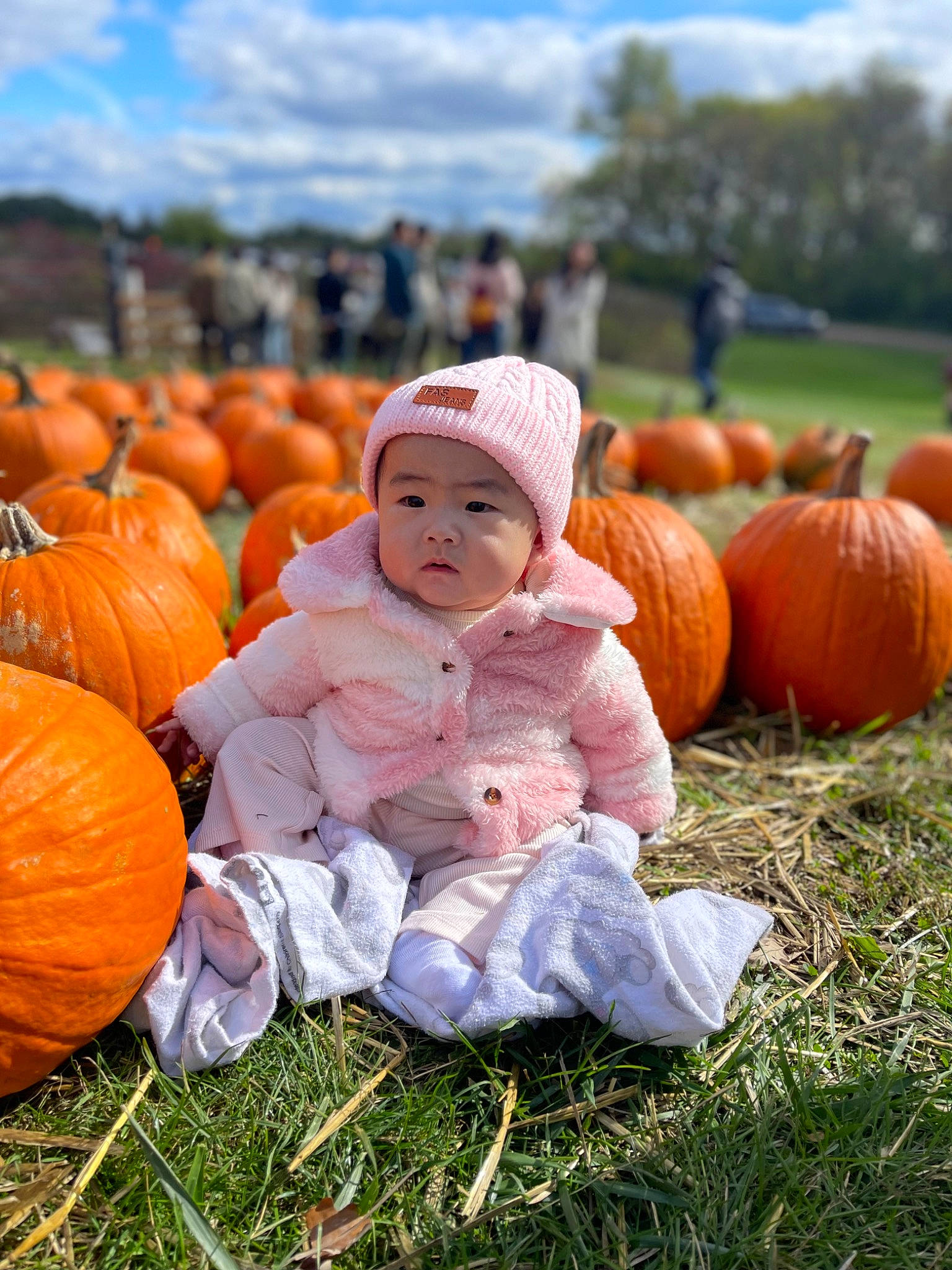 Ellanore is registered to the contest to win money with this photo: calabaza, child, cloud, cucurbita, gourd, grass, happy, headwear, leaf, morning, natural_foods, orange, people, people_in_nature, person, plant, pumpkin, sky, squash, tree