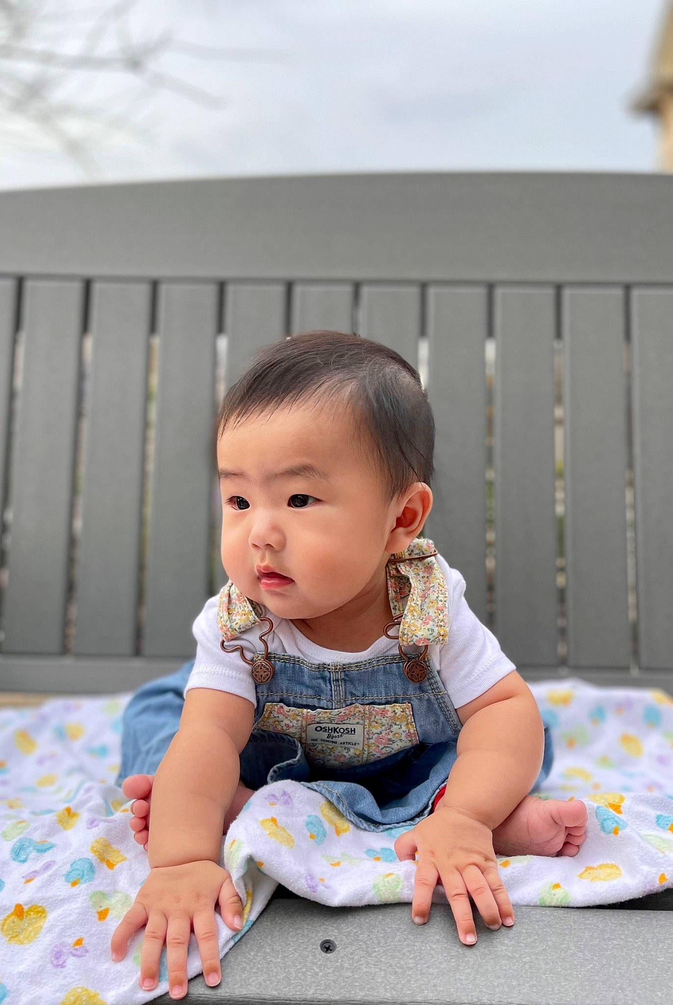 Ellanore joined the competition — help win amazing prizes! baby, baby_products, baby_toddler_clothing, bib, cheek, child, comfort, fence, flooring, fun, grass, happy, leisure, pattern, person, play, sitting, skin, sleeve, toddler