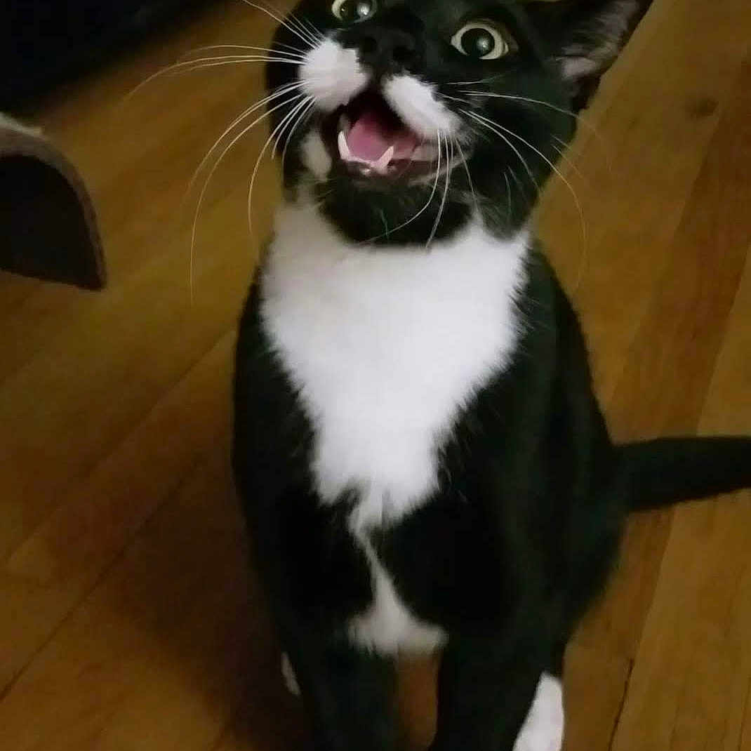 Salem