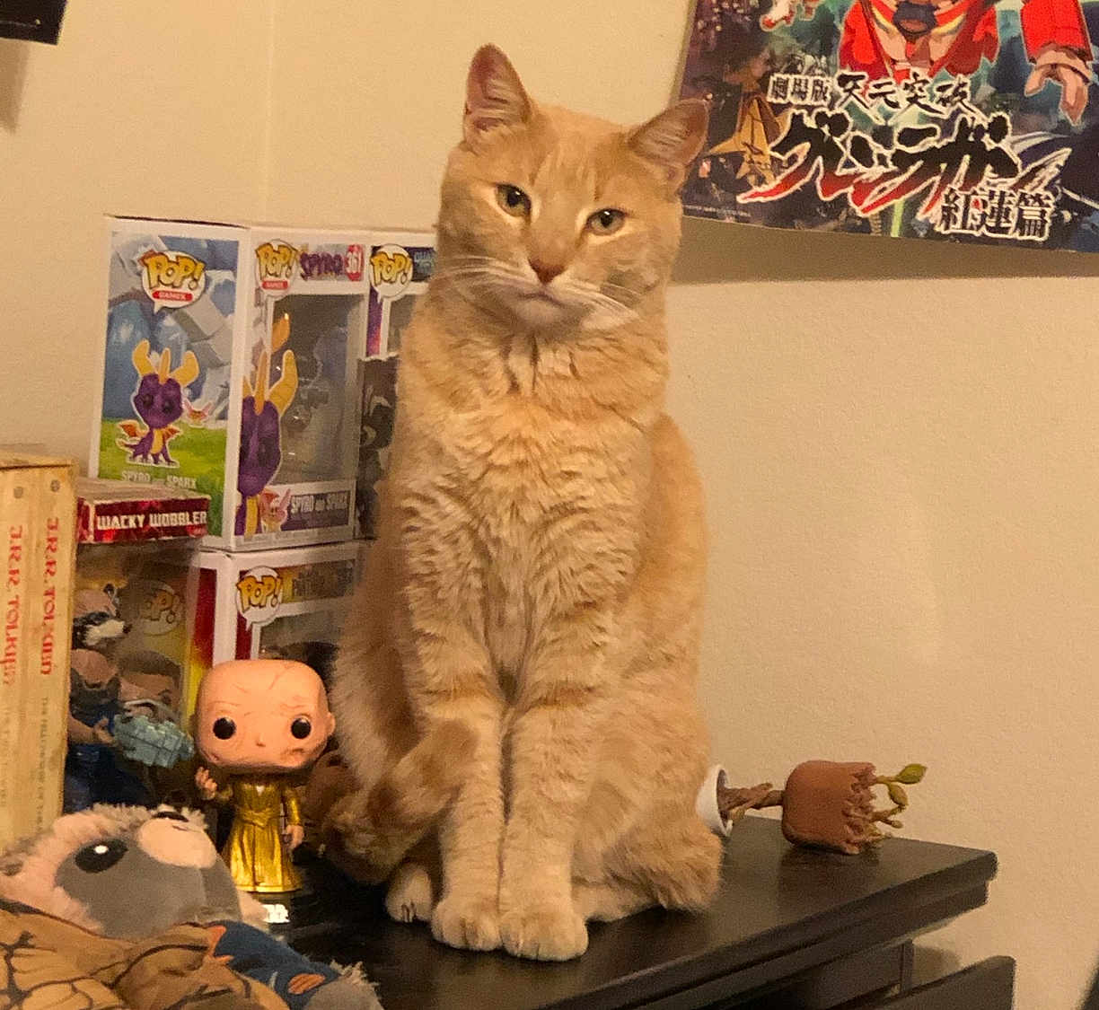 Hiro is registered to the contest to win money with this photo: cat, orange_tabby, figurine, pop_figure, plush_toy, poster, sitting, table, indoor, collectibles, toy, decor, feline, beige_wall, shelf, calm, cute, pet, animal, home