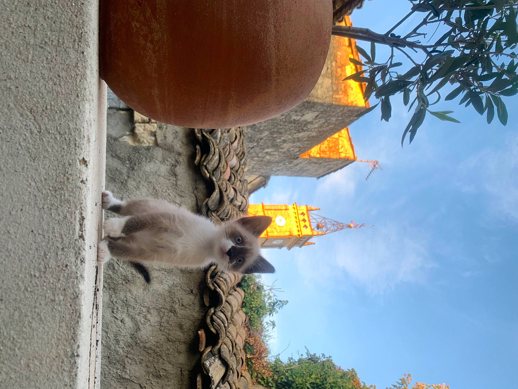 Stormy participe au concours pour gagner de l'argent avec cette photo : art, building, cloud, concrete, heat, house, metal, plant, sky, tints_and_shades, tree, twig, window, wood