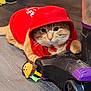 Pretty Boy joined the competition — help win amazing prizes! cat, orange_cat, hoodie, red_clothing, toy, lion_plush, vacuum_cleaner, floor, indoor, pet, animal, cute, cozy, feline, whiskers, eyes, paws, home, carpet, relaxed