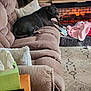 black_dog, blanket, carpet, couch, cozy, dog, electronics, fireplace, home, indoor, living_room, pet_bed, pillow, relaxed, remote_control, shelf, table, tissue_box, tongue_out, wooden_furniture