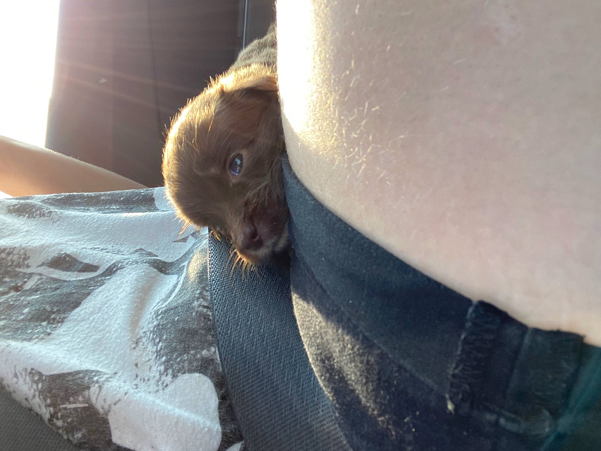 Daisy joined the competition — help win amazing prizes! snout