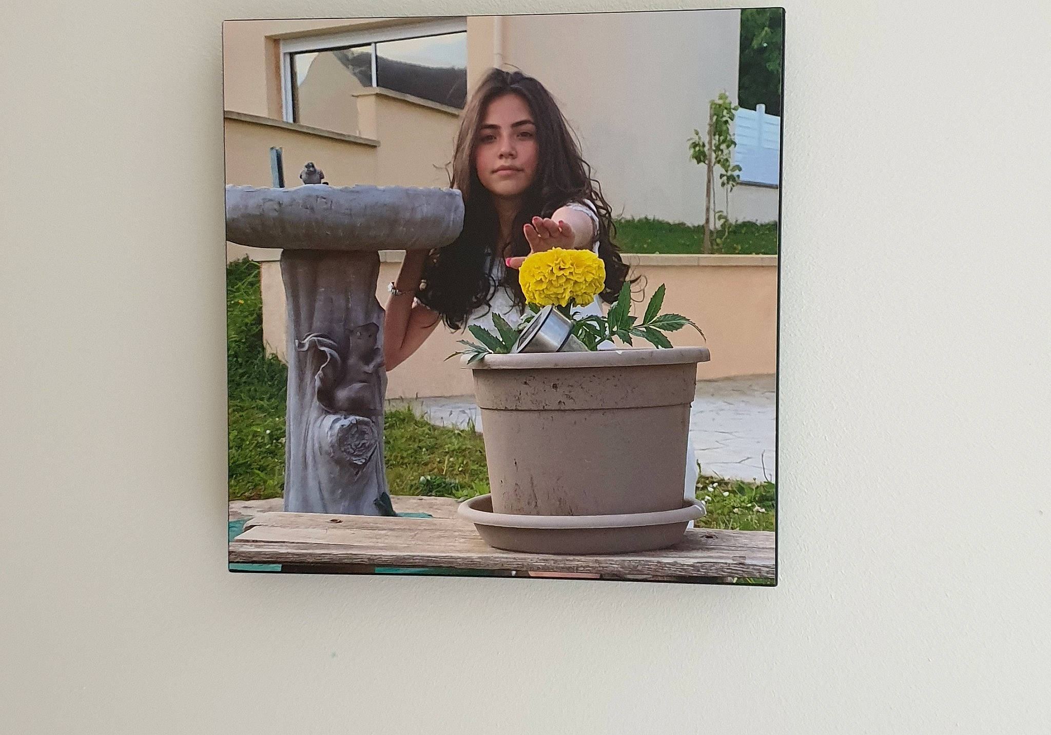 Melanie a rejoint le concours — aidez-le/la à gagner de superbes lots ! floral_design, floristry, flower, flowerpot, house, houseplant, person, photography, plant, room, table, window, yellow