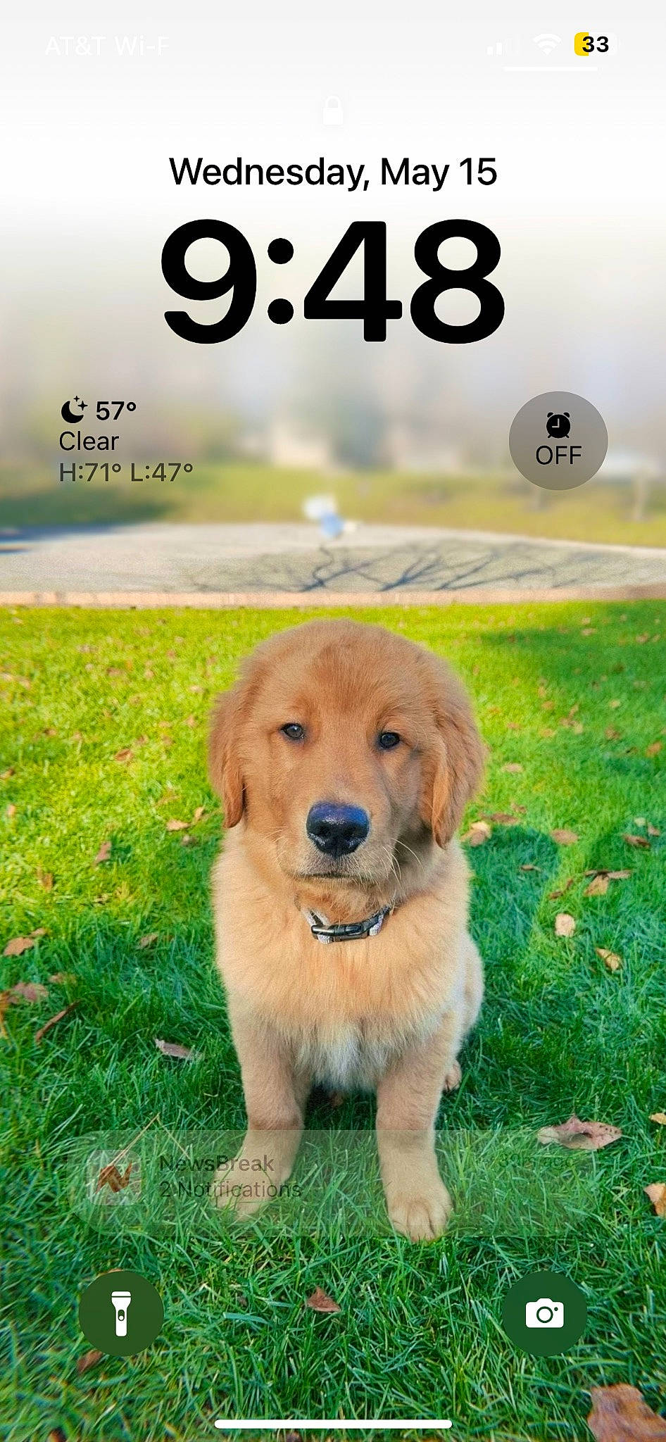 Buddy is registered to the contest to win money with this photo: carnivore, companion_dog, dog, dog_breed, event, font, grass, grassland, gun_dog, happy, landscape, logo, natural_landscape, people_in_nature, photo_caption, plant, prairie, retriever, sky, sporting_group