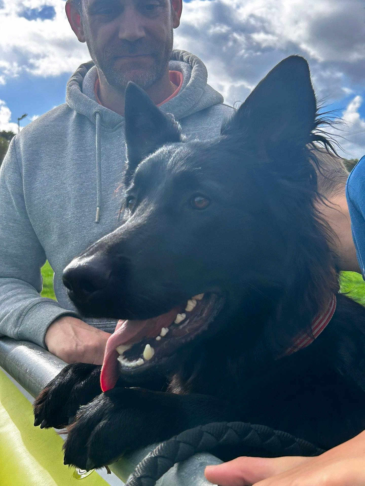 Tokyo a rejoint le concours — aidez-le/la à gagner de superbes lots ! dog, black_dog, tongue_out, happy, man, gray_hoodie, outdoor, cloudy_sky, metal_railing, pet, animal, playful, smiling, person, daylight, collar, paw, closeup, leisure, companionship