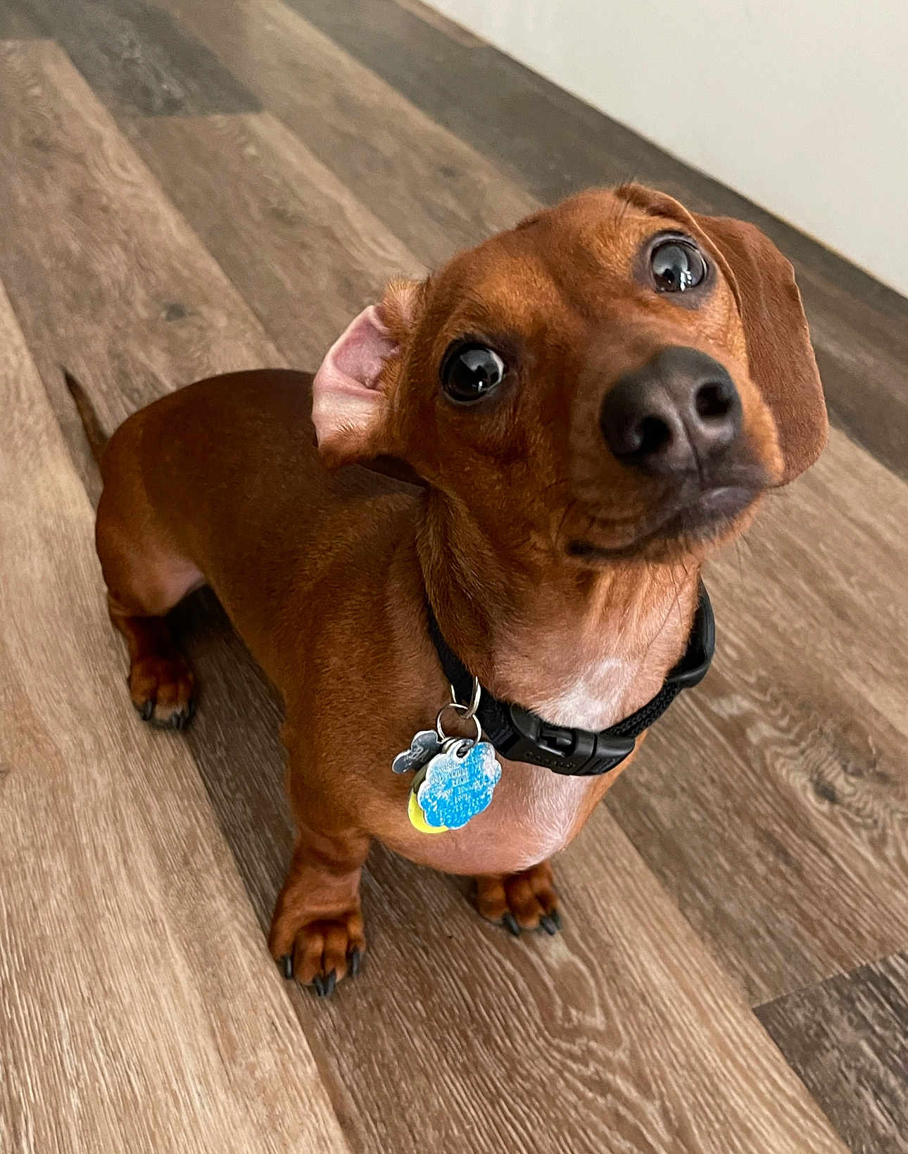 Barkley