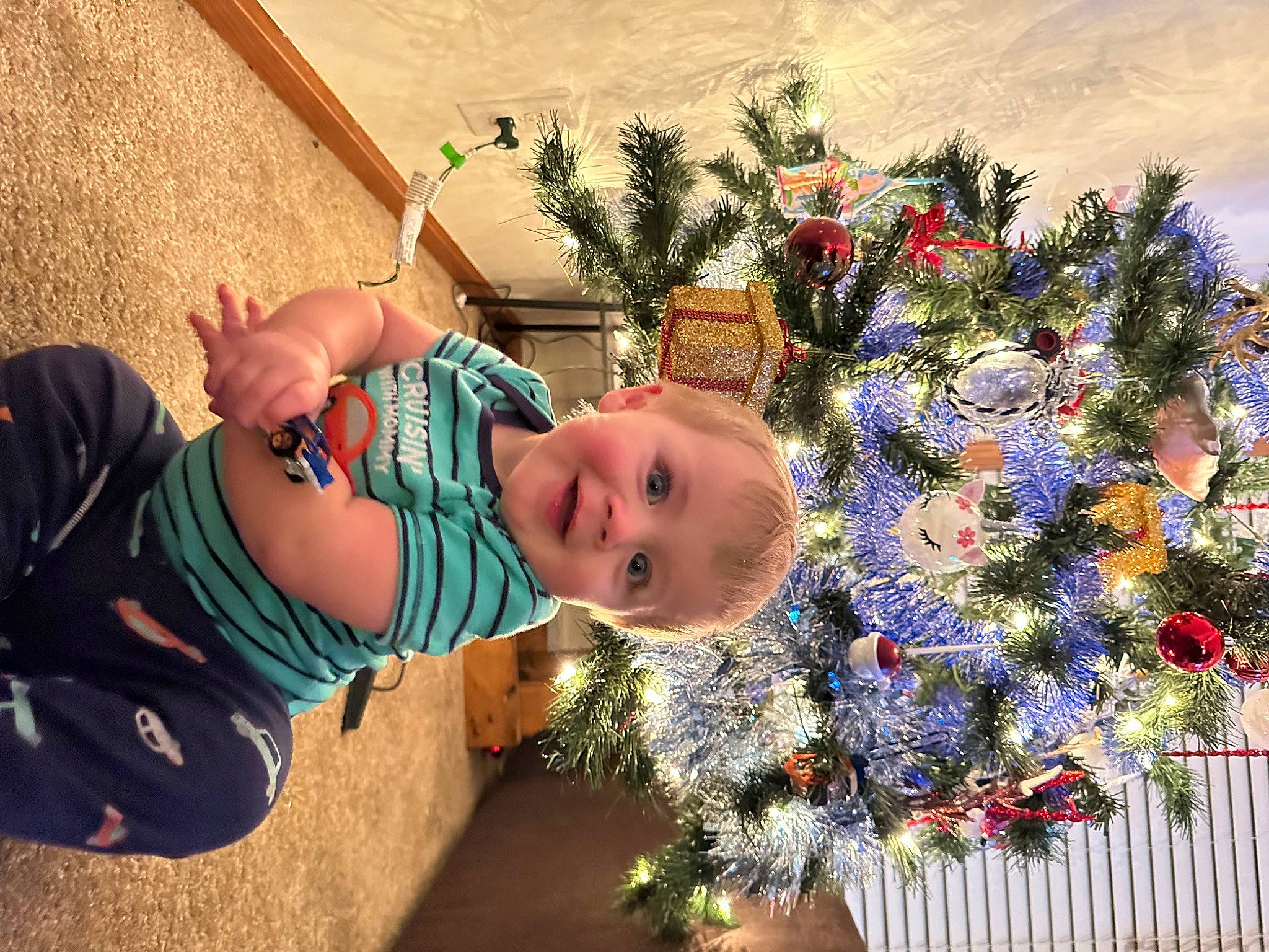 Lane is registered to the contest to win money with this photo: child, christmas_decoration, christmas_ornament, christmas_tree, conifer, event, evergreen, flower_arranging, fun, grass, happy, holiday, holiday_ornament, leaf, ornament, person, plant, smile, tradition, tree