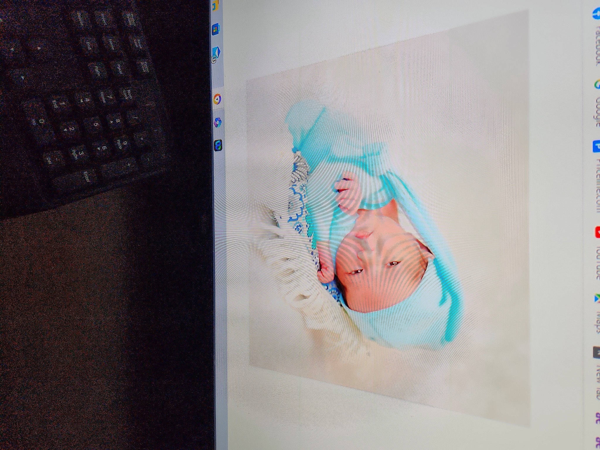 Camden joined the competition — help win amazing prizes! abdomen, art, chest, communication_device, computer_hardware, computer_keyboard, display_device, electronic_device, font, gadget, gesture, illustration, input_device, magenta, multimedia, numeric_keypad, peripheral, person, space_bar, technology