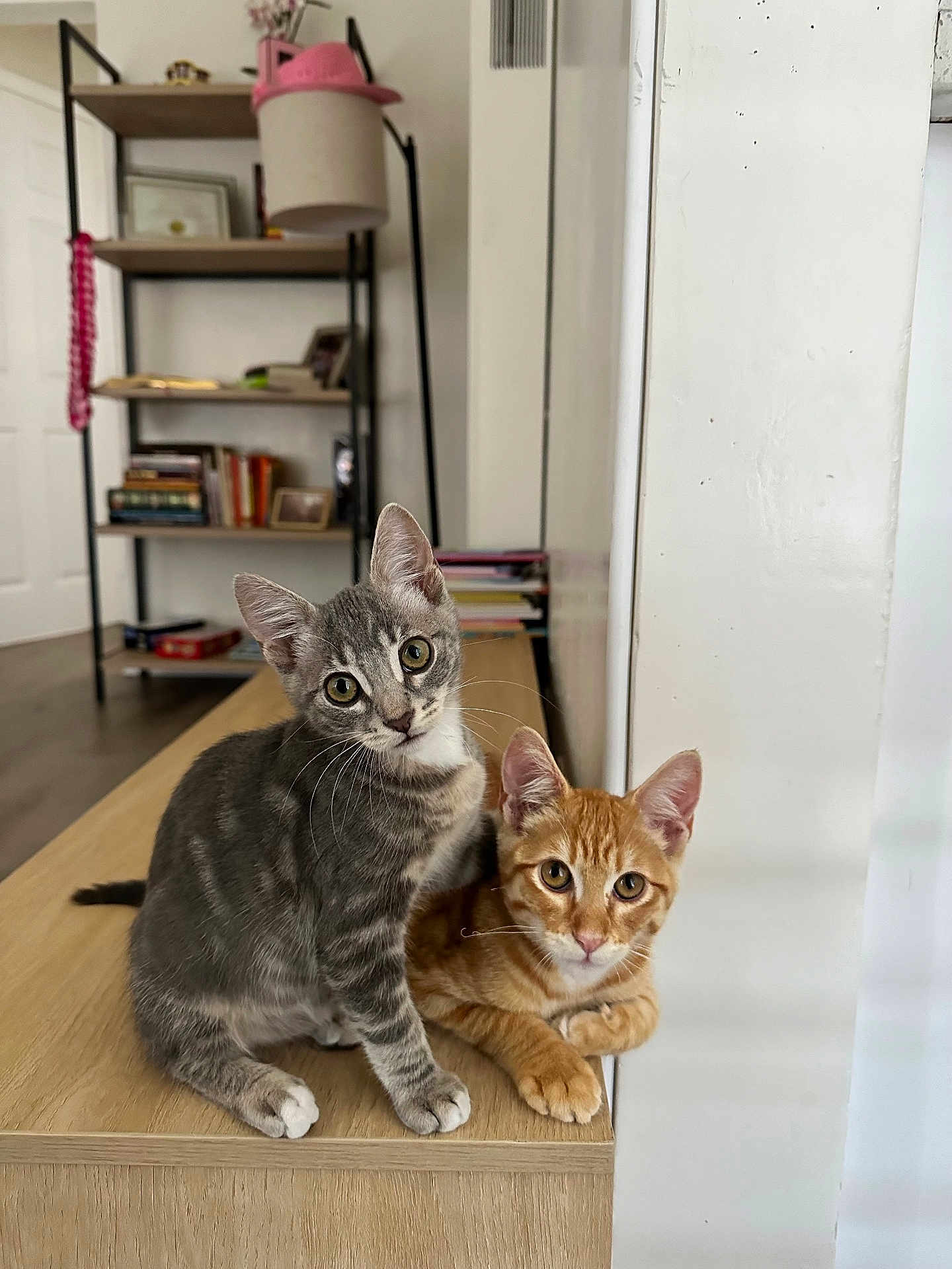 Ember And Sage