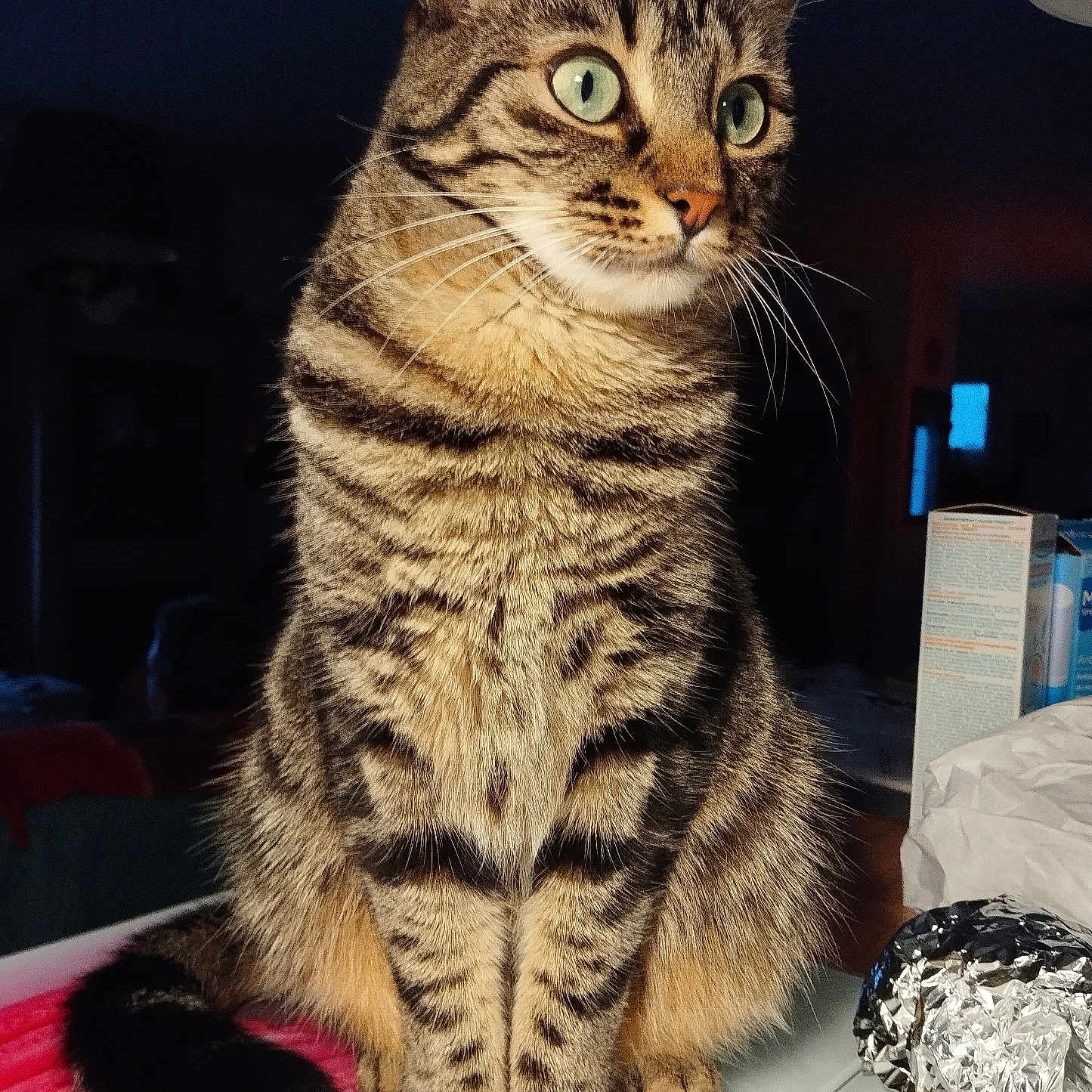 Wanda