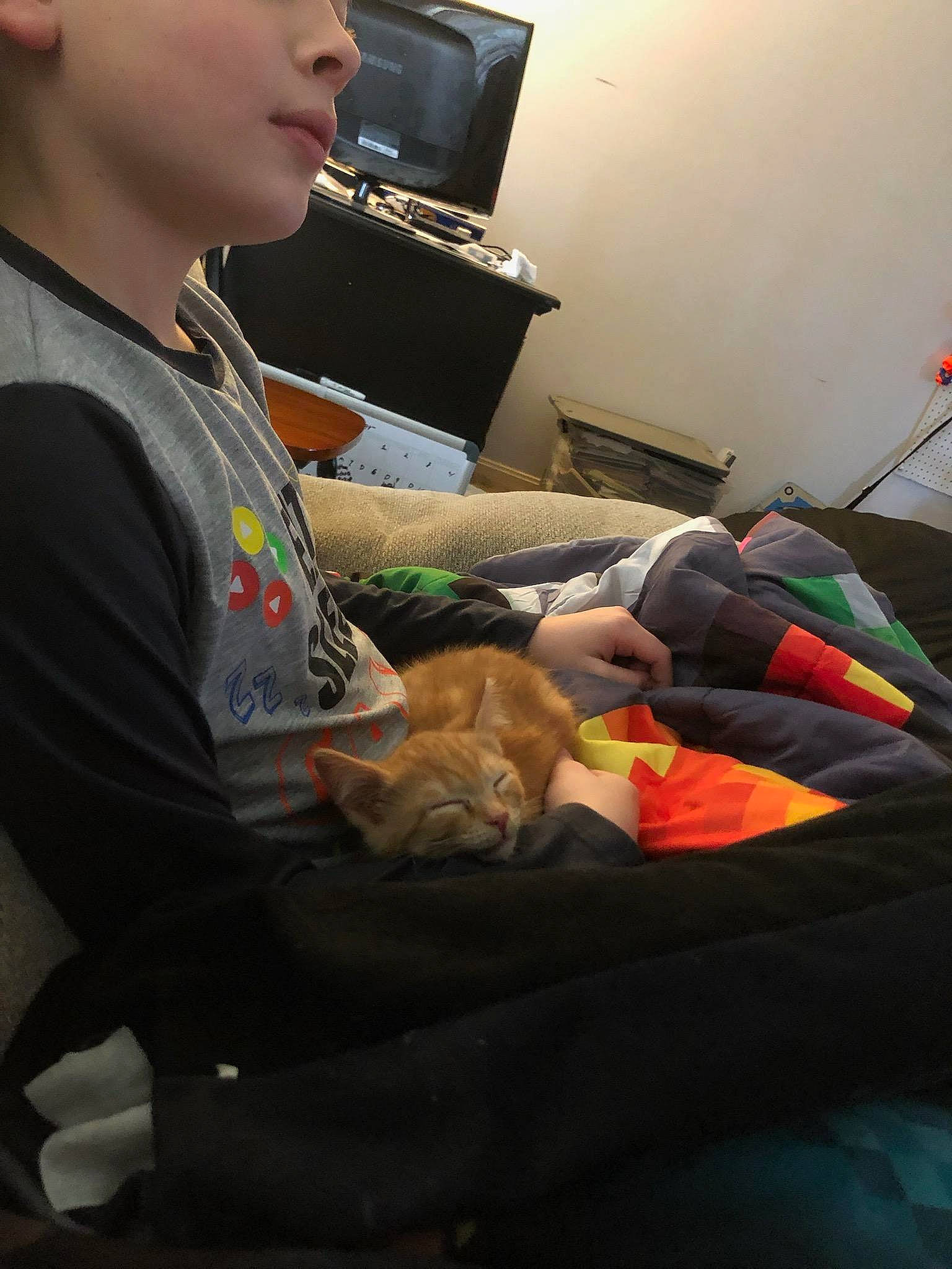 Butterscotch is registered to the contest to win money with this photo: audio_equipment, chair, child, comfort, event, eyewear, gadget, health_care, hospital, job, lap, medical, medical_equipment, medical_procedure, patient, room, service, sitting, toy