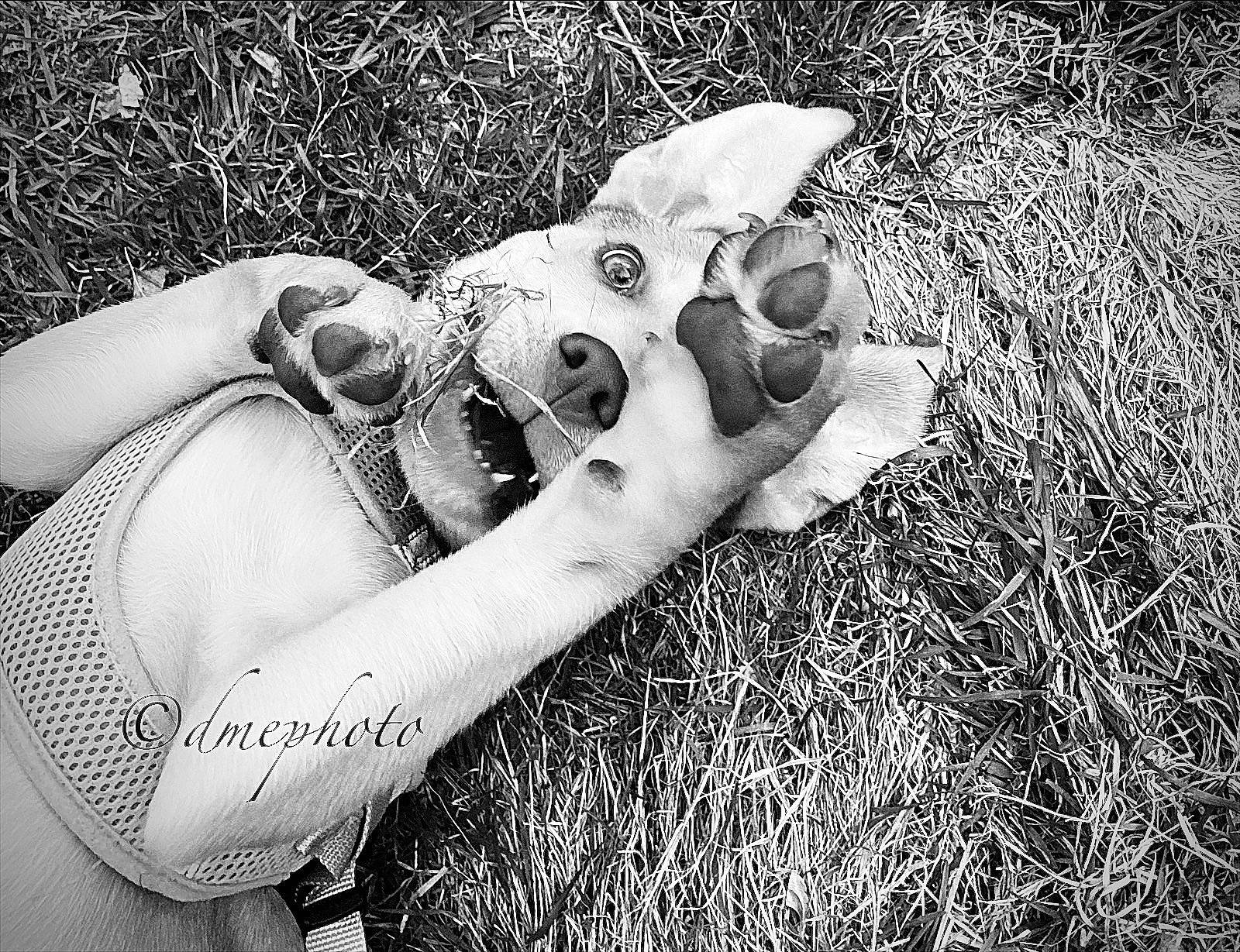 Nylah is registered to the contest to win money with this photo: arm, black_and_white, elbow, finger, flash_photography, foot, gesture, grass, hand, human_body, human_leg, leg, nail, people_in_nature, style, thigh, thumb, water, white, wrist