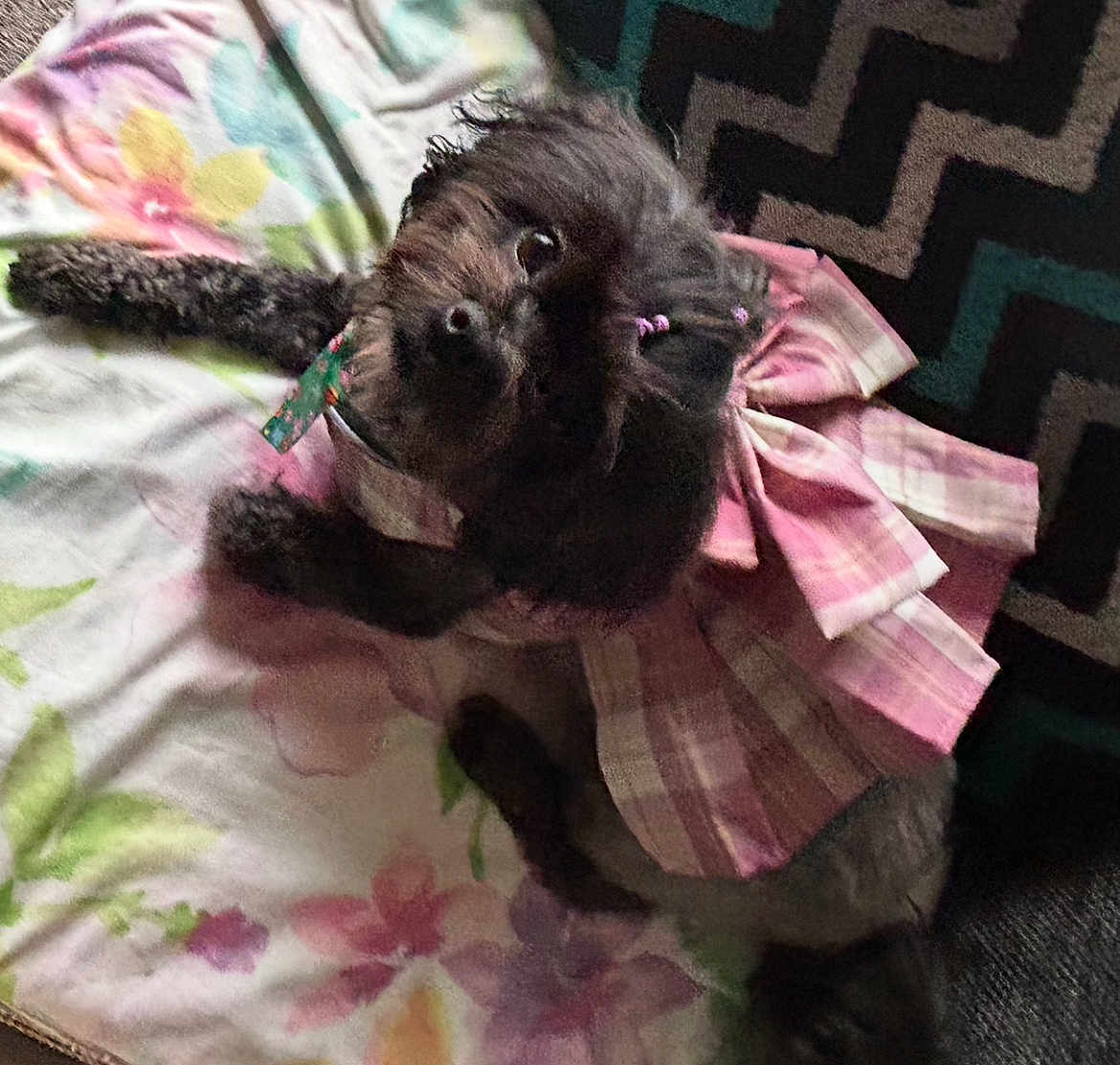 Princess Cali