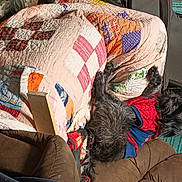 Knuckles is registered to the contest to win money with this photo: art, bed_sheet, bedding, carmine, comfort, craft, flooring, fur, linens, needlework, pattern, room, stitch, thread, visual_arts, wood, wool, woolen, world, woven_fabric