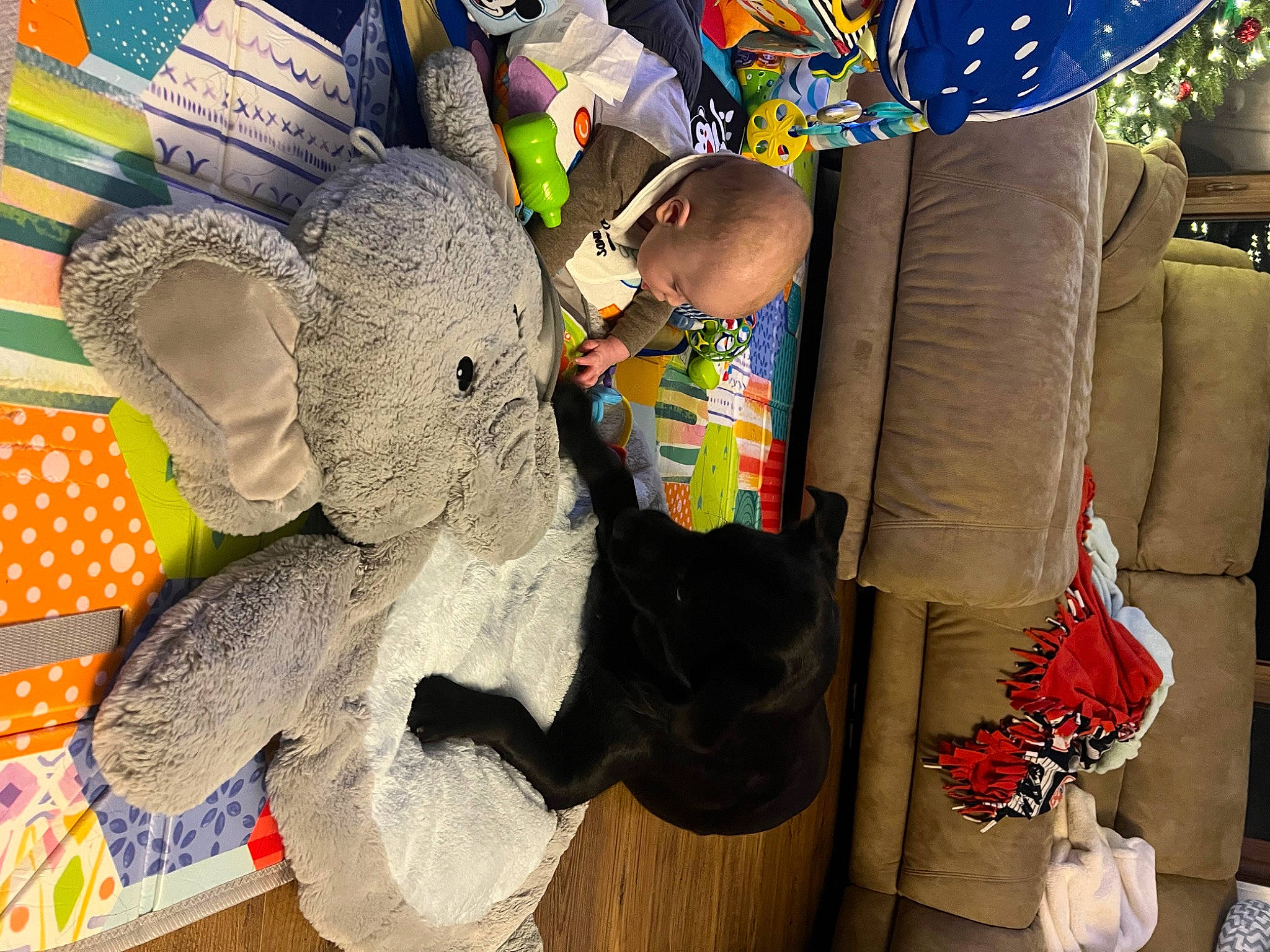 Alex joined the competition — help win amazing prizes! art, artist, cap, event, fashion_accessory, hat, human_leg, leisure, linens, pattern, person, play, plush, room, stuffed_toy, sun_hat, t_shirt, thigh, toddler, toy