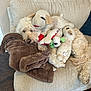dog, plush_toy, blanket, couch, furniture, indoor, pet, cozy, fur, stuffed_animal, relaxing, home, comfort, brown, cream, soft, resting, cute, animal, snuggling
