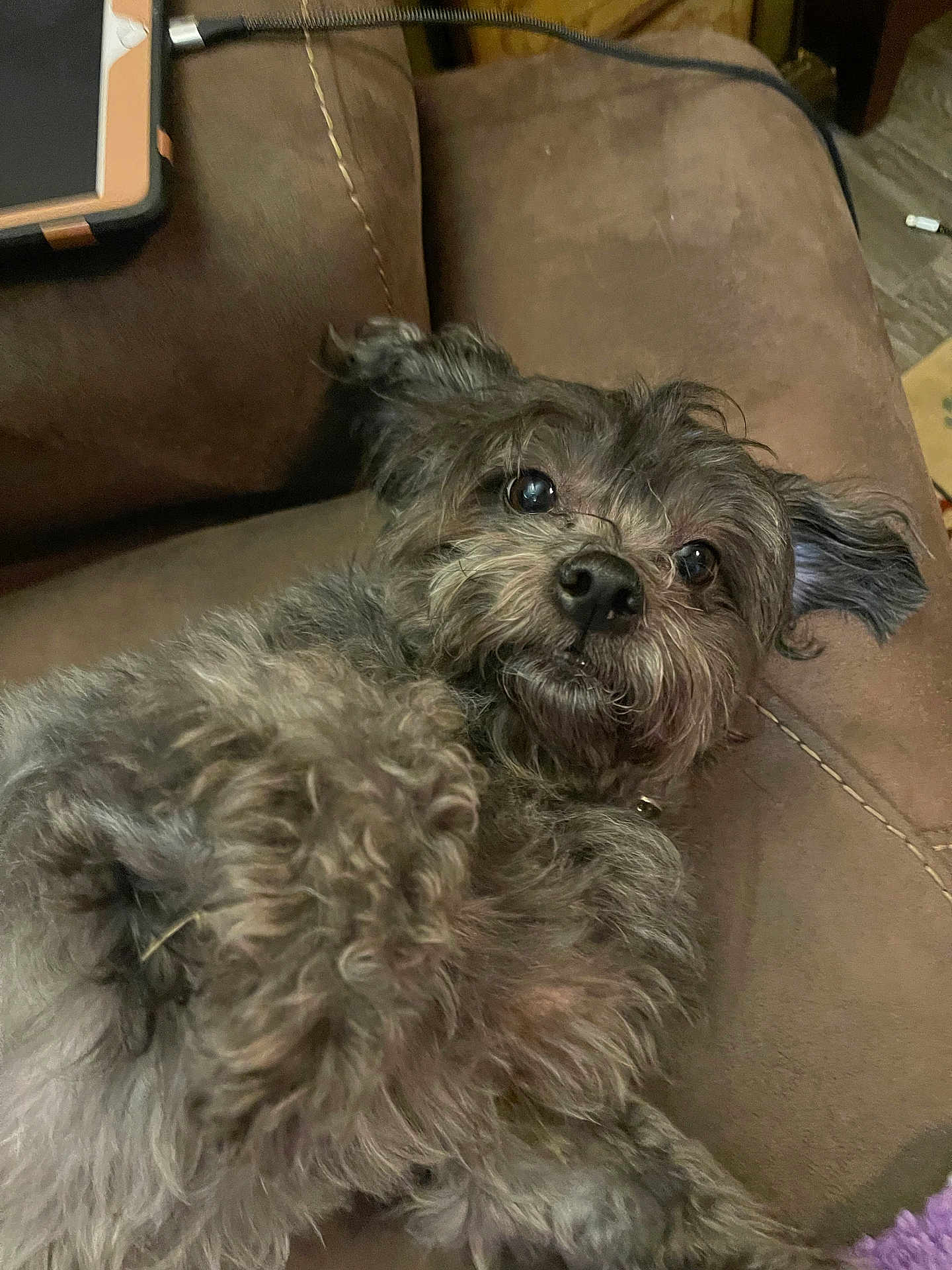 Bella