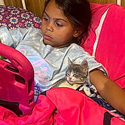 Itty Bitty is registered to the contest to win money with this photo: animal, bed, blanket, casual_clothing, child, cozy, cute, focused, home, indoor, kitten, pillow, pink_case, relaxed, resting, sleeping_cat, tablet, technology, wooden_wall, young