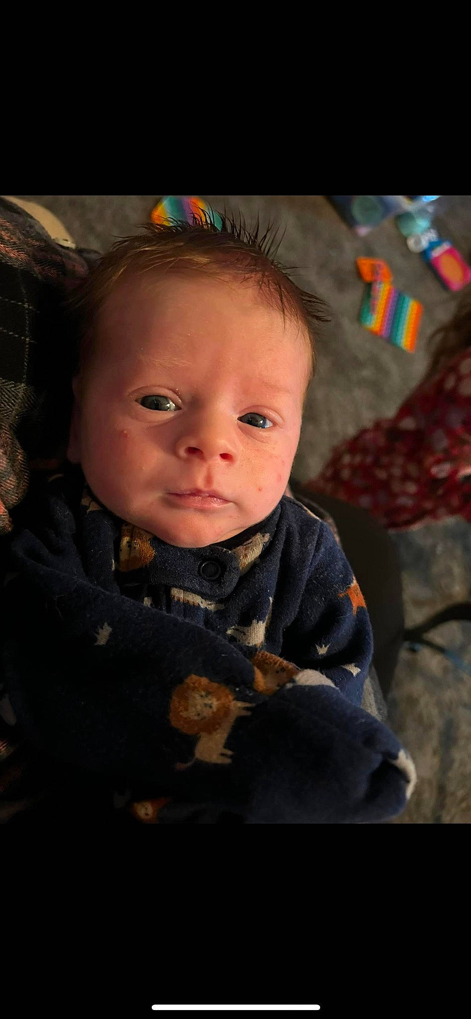 Donald joined the competition — help win amazing prizes! baby, baby_toddler_clothing, cheek, child, cool, eyebrow, flash_photography, fun, happy, iris, lip, mouth, nose, person, skin, sleeve, smile, standing, toddler, tree