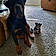 Snickers And Reese