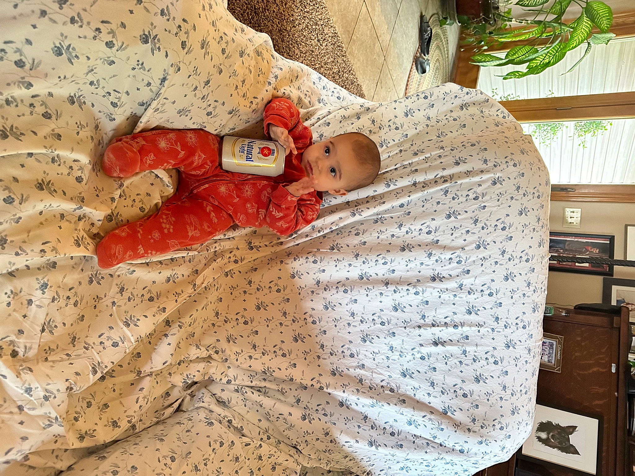 Noelle joined the competition — help win amazing prizes! baby, baby_products, baby_sleeping, bedding, cap, child, comfort, flooring, fur, head, human_body, knit_cap, leisure, linens, pattern, person, room, textile, toddler, wood