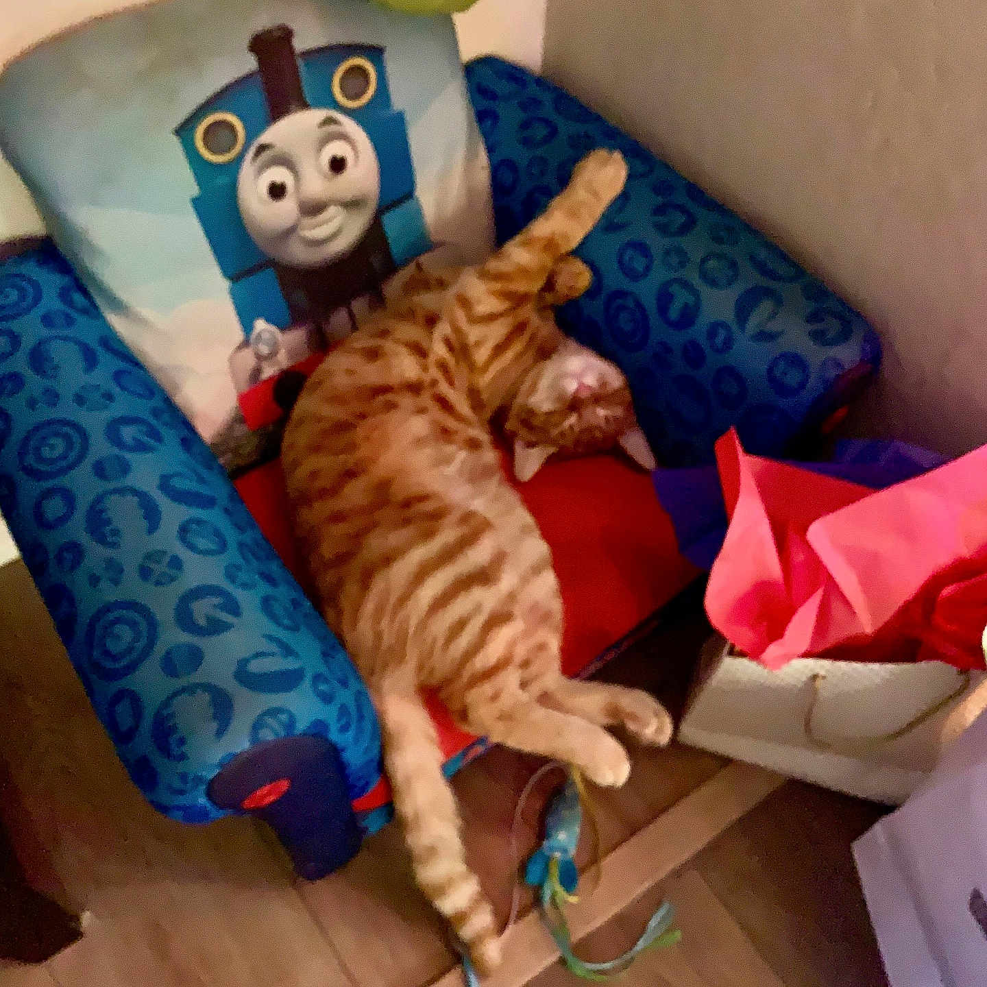 Lightning is registered to the contest to win money with this photo: animal, architecture, armchair, building, cat, chair, couch, cushion, face, furniture, head, homedecor, indoors, interiordesign, livingroom, person, pet, room, sleeping, wood