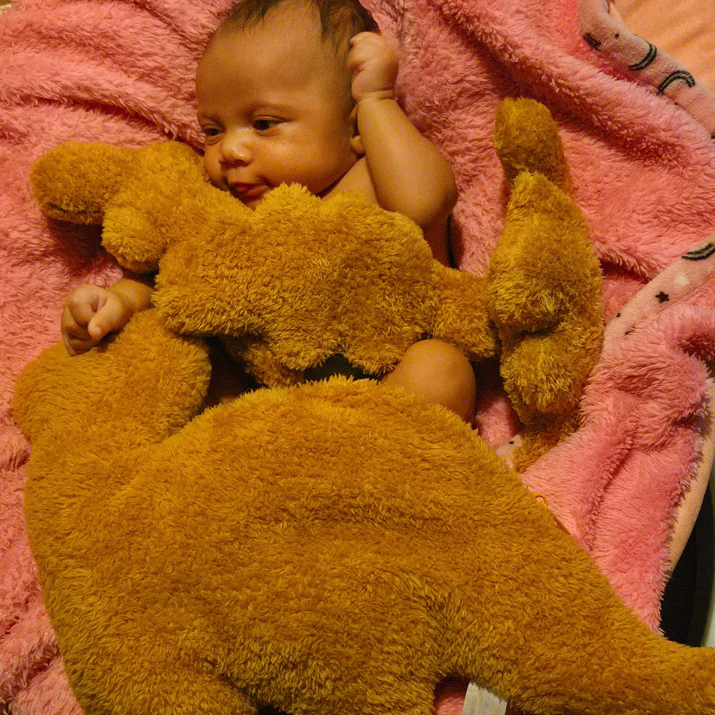 Annilynn joined the competition — help win amazing prizes! baby, blanket, child, comfort, cozy, cute, dinosaur, face, furniture, hand, infant, pink, plush, resting, sleeping_area, small, soft, stuffed_animal, toy, warm