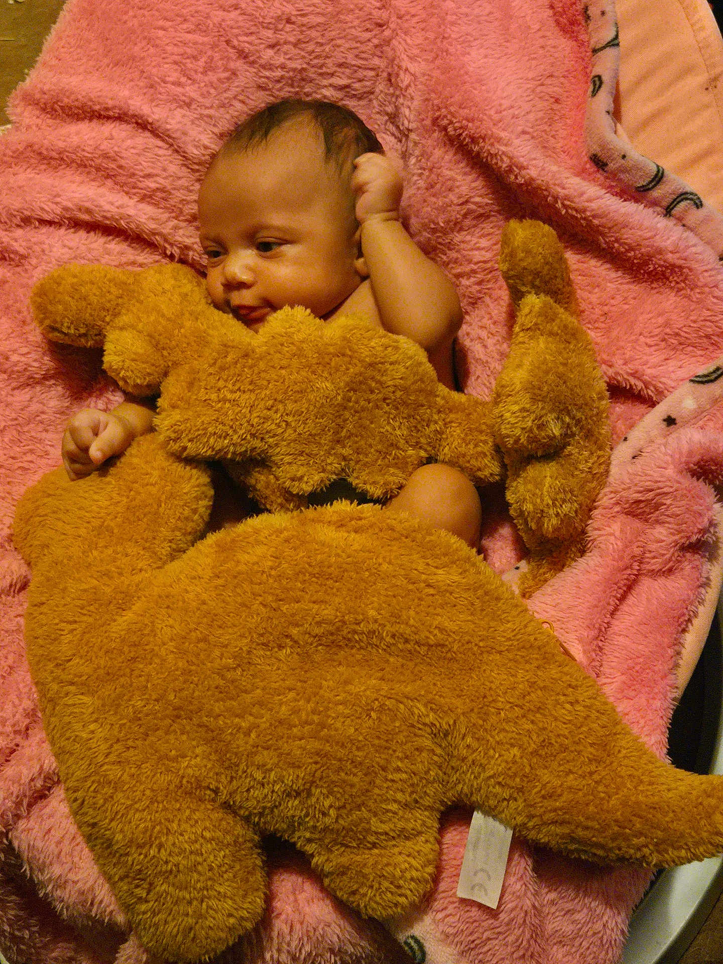 Annilynn joined the competition — help win amazing prizes! baby, blanket, stuffed_animal, dinosaur, pink, soft, cozy, infant, child, cute, plush, toy, sleeping_area, comfort, small, warm, resting, face, hand, furniture