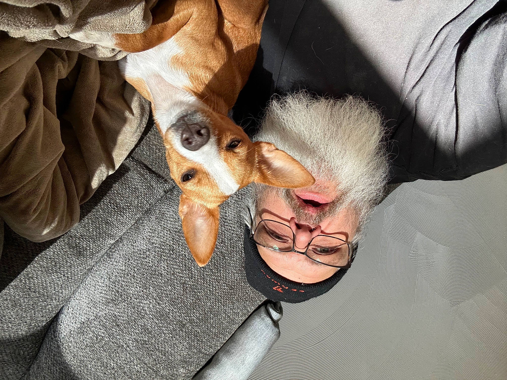 Babies is registered to the contest to win money with this photo: beard, canidae, carnivore, comfort, companion_dog, dog, dog_breed, ear, eyewear, fawn, finger, flash_photography, fur, gesture, happy, jaw, snout, sunglasses, whiskers, wrist