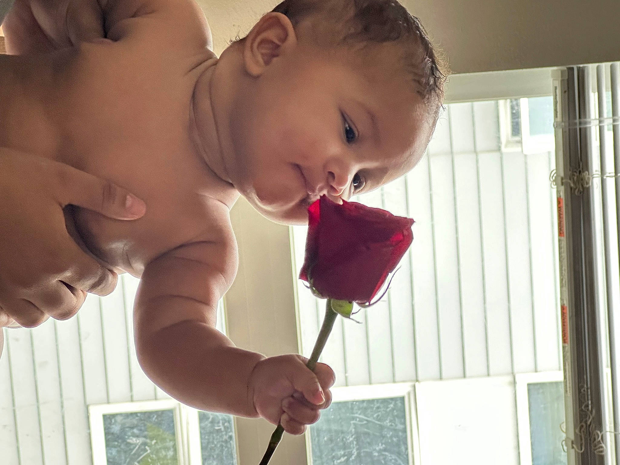 Rikki is registered to the contest to win money with this photo: arm, cheek, dress, eye, eyelash, face, hair, hand, happy, head, human_body, joint, leg, lip, mouth, neck, nose, person, shoulder, skin