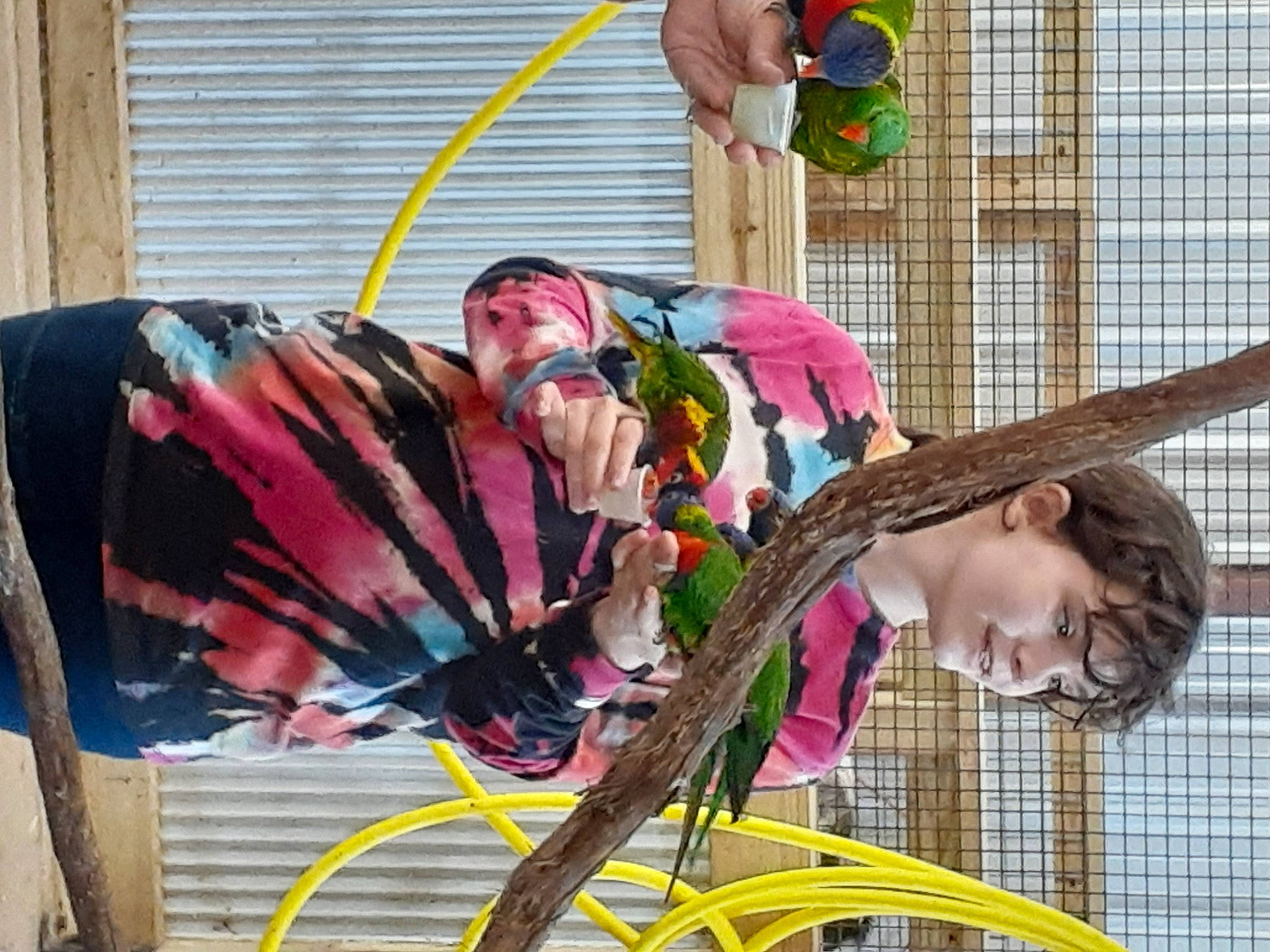 Caylee joined the competition — help win amazing prizes! art, artist, costume, costume_design, event, eyewear, fashion_accessory, feather, festival, fun, leisure, magenta, organism, person, photograph, public_event, street_fashion, street_performance, visual_arts