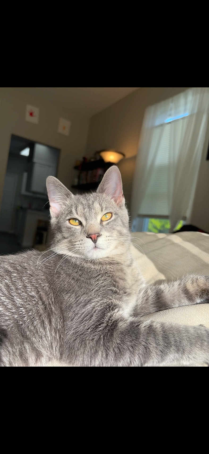 Winston