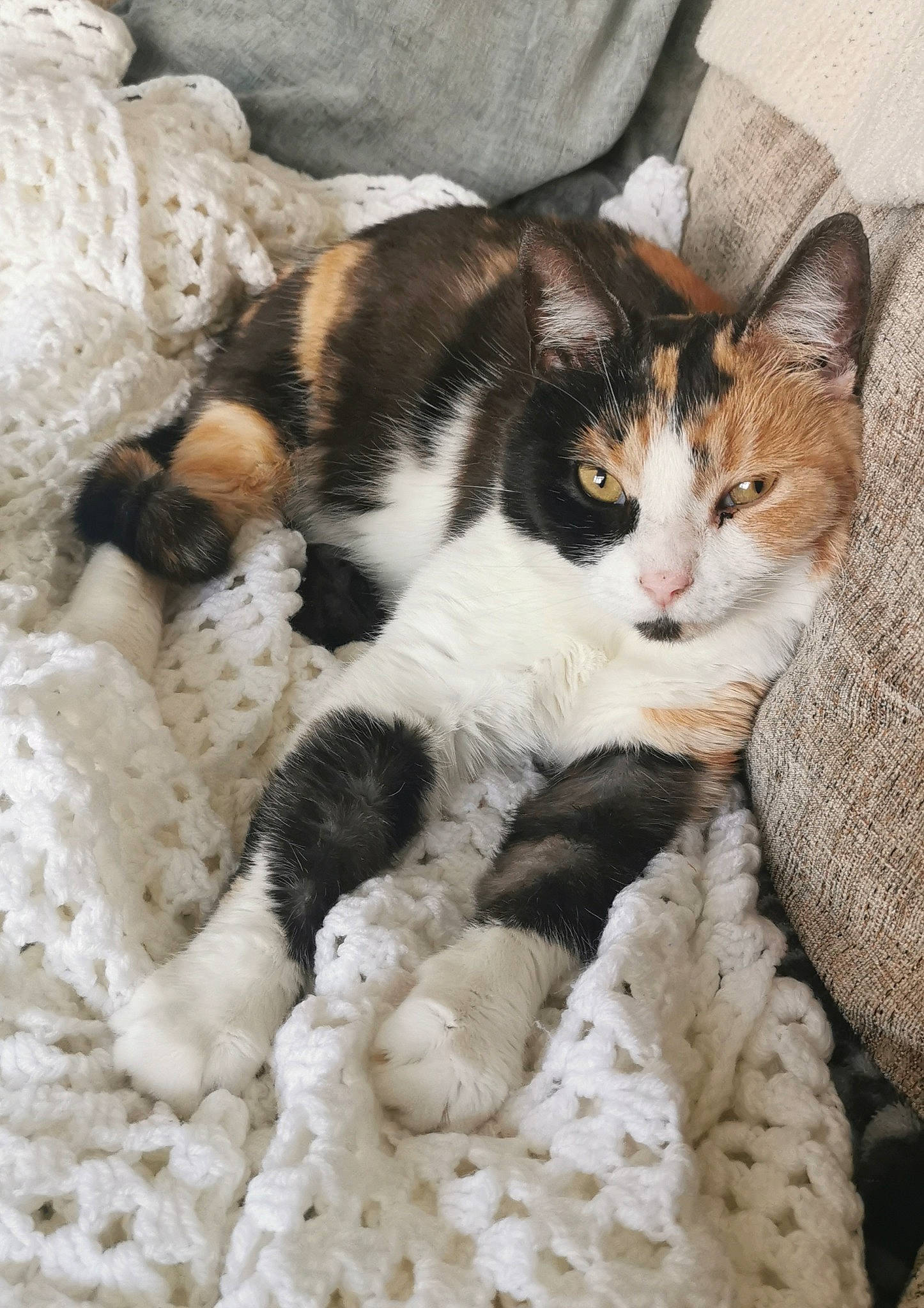 Willow